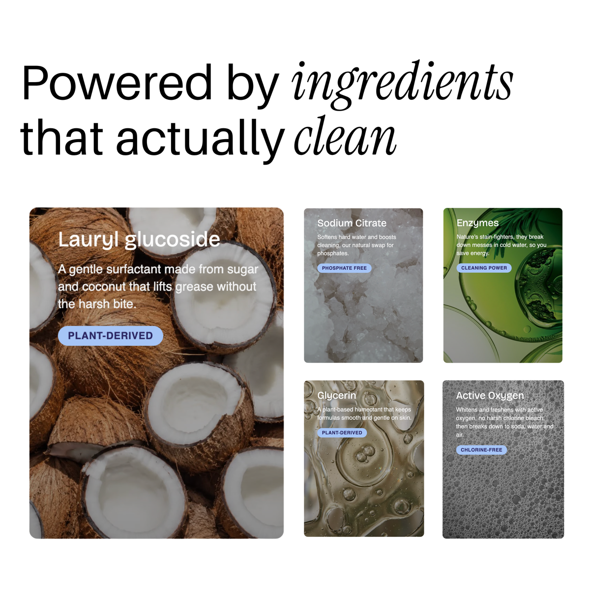 Whole Home Bundle